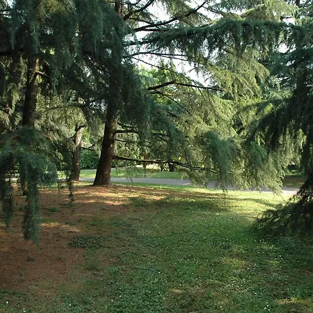 I Salici Panzió Basiglio
